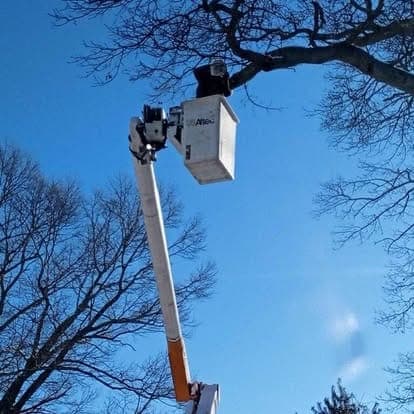 Tree worker in the raised basket of a bucket truck, working among bare branches against a clear blue sky