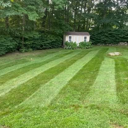 Freshly mowed backyard lawn with diagonal stripes leading to a small cream-colored shed and a line of trees